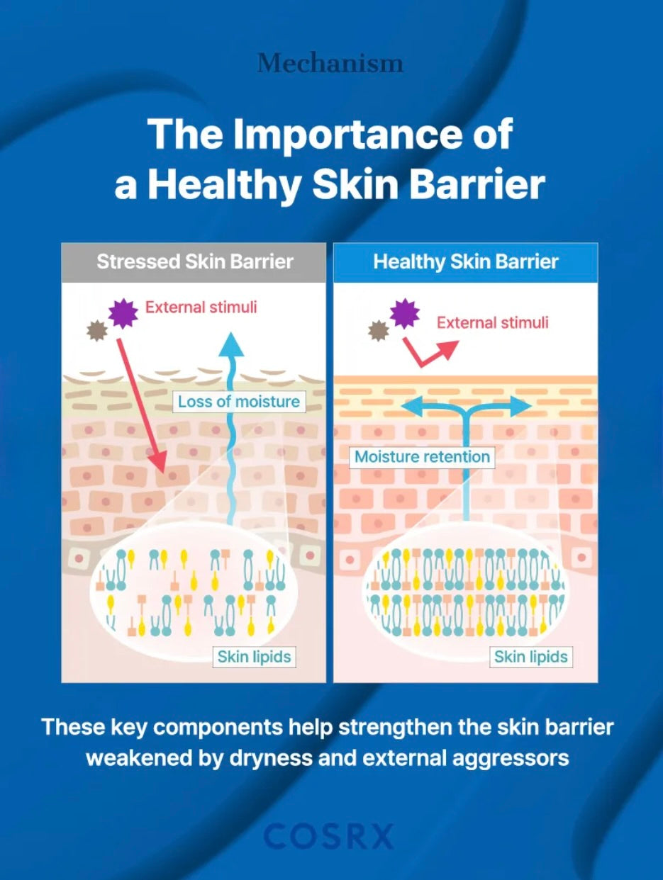 COSRX Skin Barrier Moisturizing Body Cream