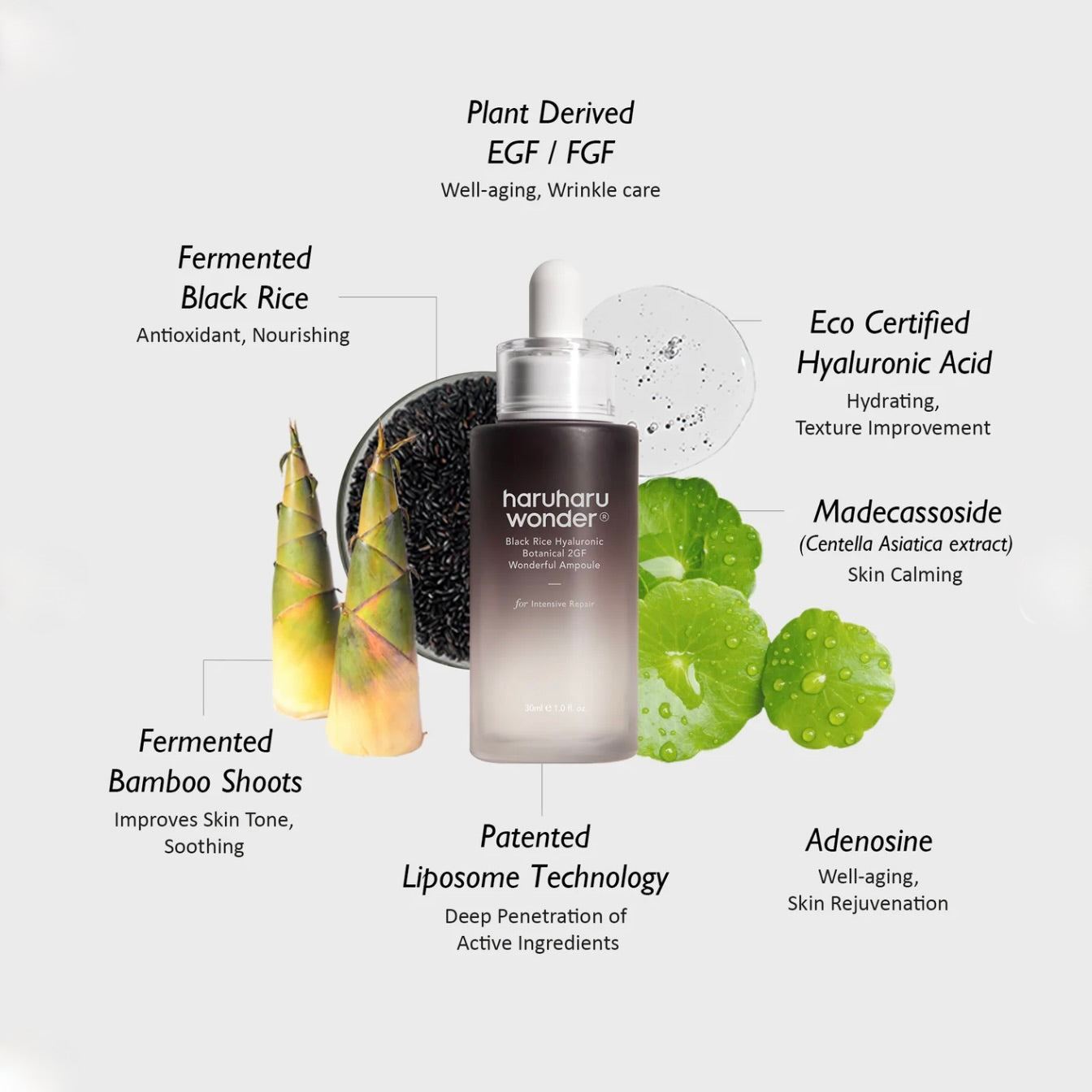 haruharu wonder Black Rice  BOTANICAL 2GF WONDERFUL AMPOULE